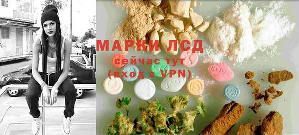 Альфа ПВП Верея